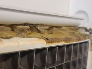 Dirty ice machine