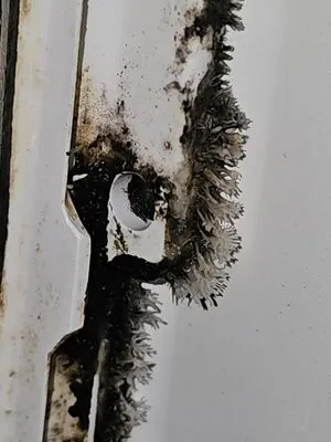 Dirty ice machine