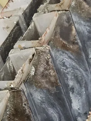 Dirty ice machine
